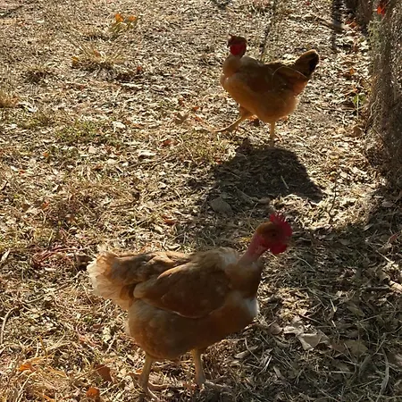 Appartamento Hameau De Cure Cazouls-lès-Béziers